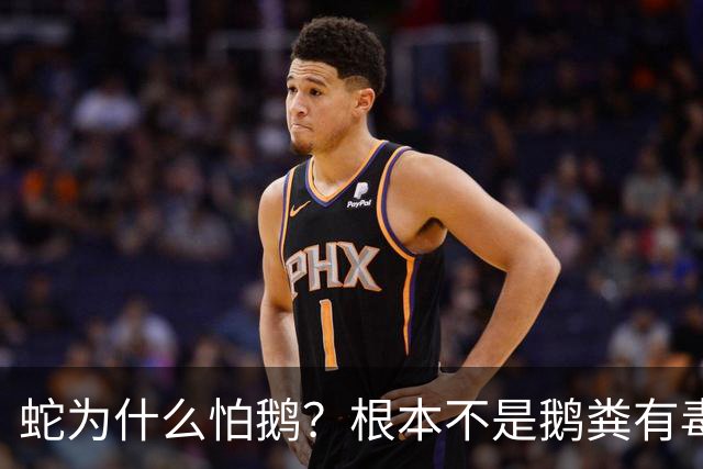 蛇为什么怕鹅？根本不是鹅粪有毒！真正原因是大鹅三大绝杀技能